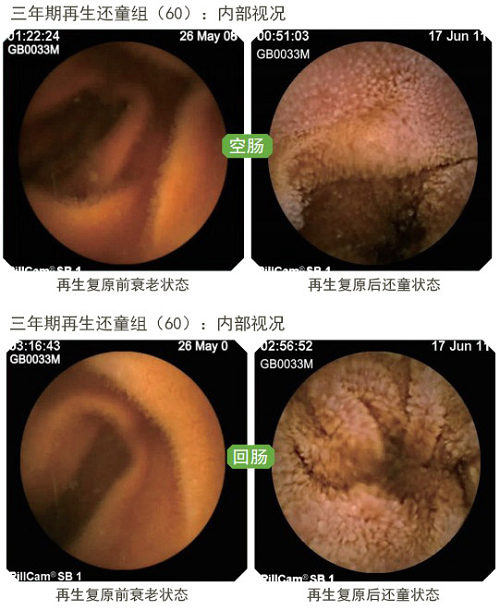mg冰球突破豪华版(试玩)官方网站
