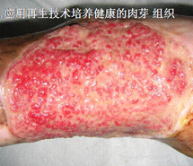 mg冰球突破豪华版(试玩)官方网站