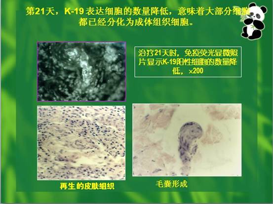 mg冰球突破豪华版(试玩)官方网站