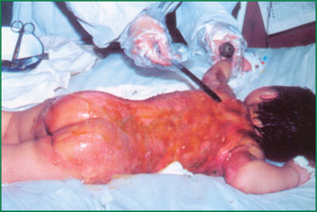 mg冰球突破豪华版(试玩)官方网站