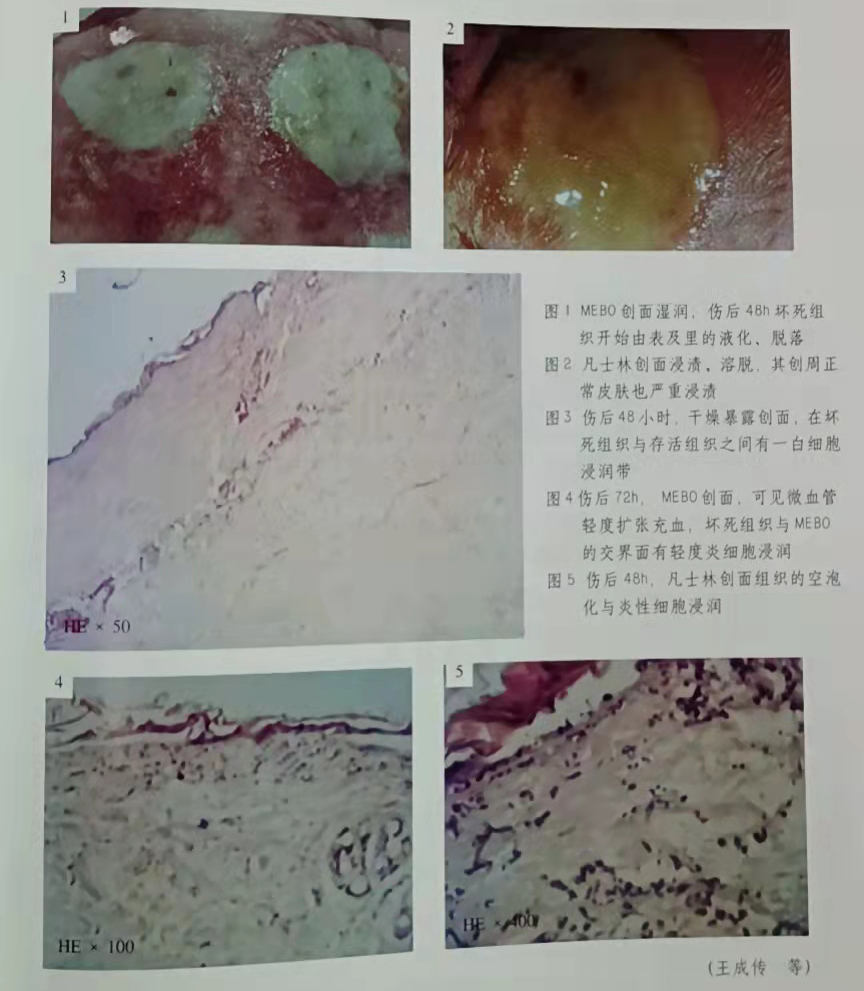 mg冰球突破豪华版(试玩)官方网站
