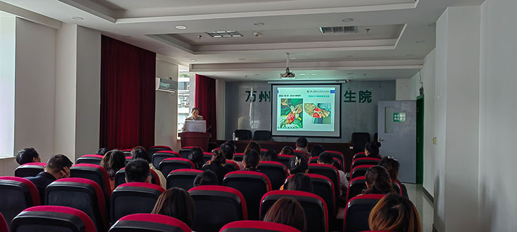 mg冰球突破豪华版(试玩)官方网站