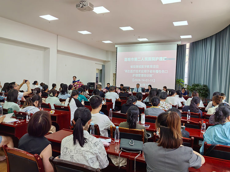 mg冰球突破豪华版(试玩)官方网站