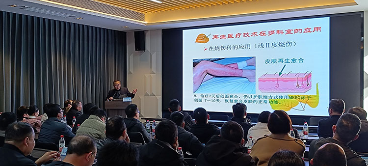 mg冰球突破豪华版(试玩)官方网站