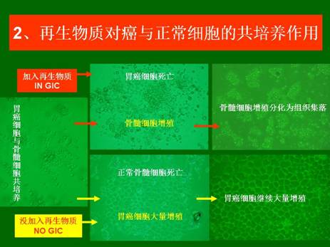 mg冰球突破豪华版(试玩)官方网站