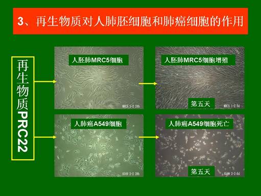 mg冰球突破豪华版(试玩)官方网站
