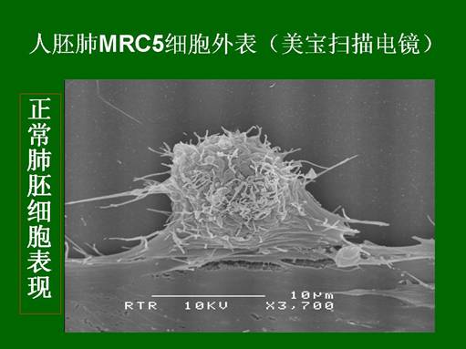 mg冰球突破豪华版(试玩)官方网站
