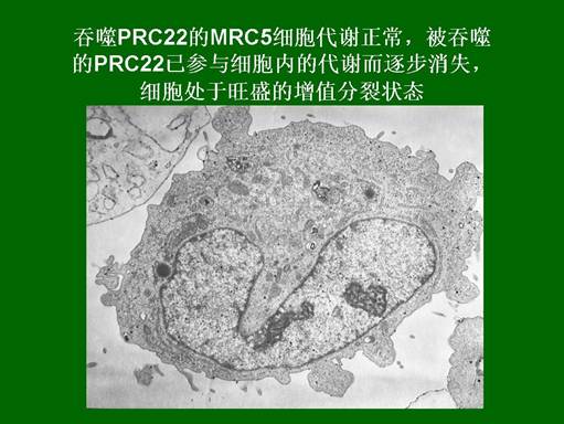 mg冰球突破豪华版(试玩)官方网站