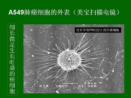 mg冰球突破豪华版(试玩)官方网站