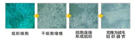 mg冰球突破豪华版(试玩)官方网站