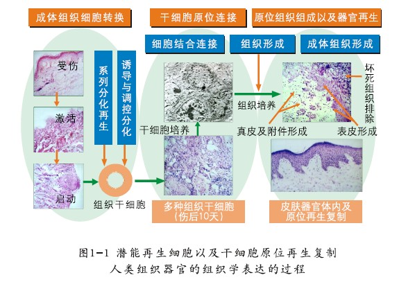 mg冰球突破豪华版(试玩)官方网站
