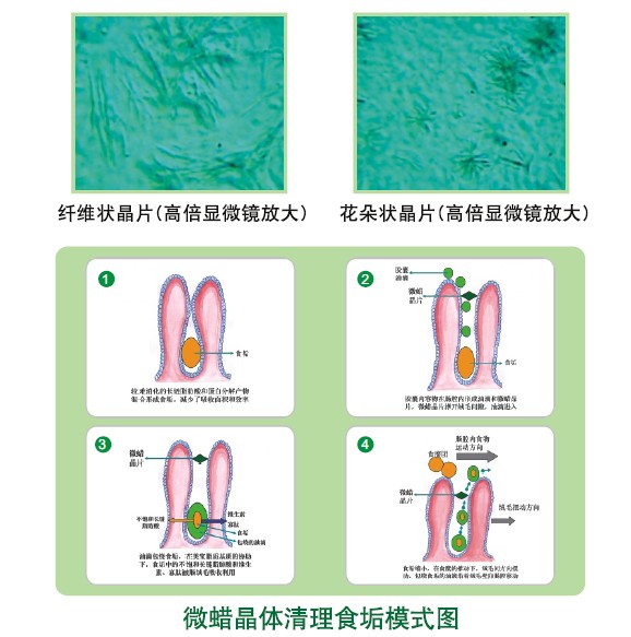 mg冰球突破豪华版(试玩)官方网站