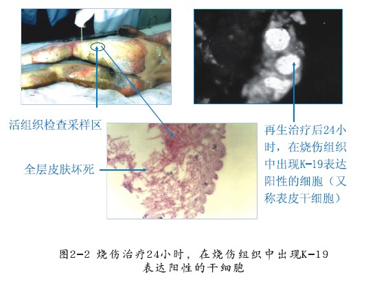 mg冰球突破豪华版(试玩)官方网站
