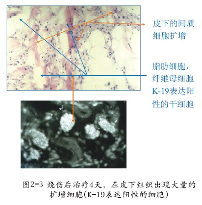mg冰球突破豪华版(试玩)官方网站