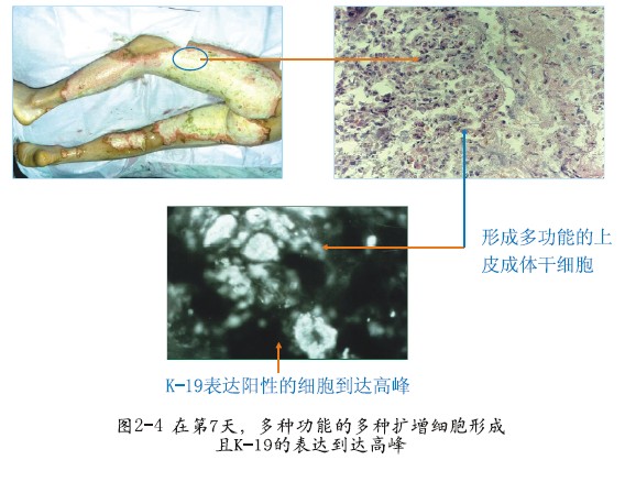 mg冰球突破豪华版(试玩)官方网站
