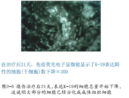 mg冰球突破豪华版(试玩)官方网站