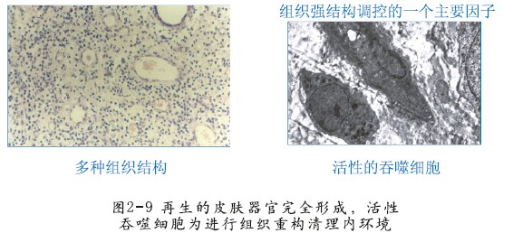 mg冰球突破豪华版(试玩)官方网站