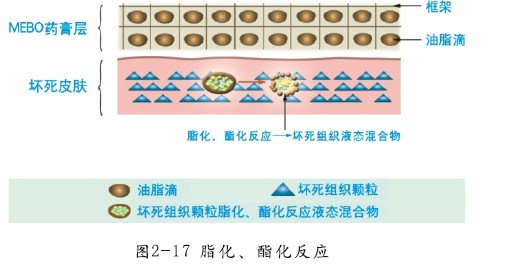 mg冰球突破豪华版(试玩)官方网站