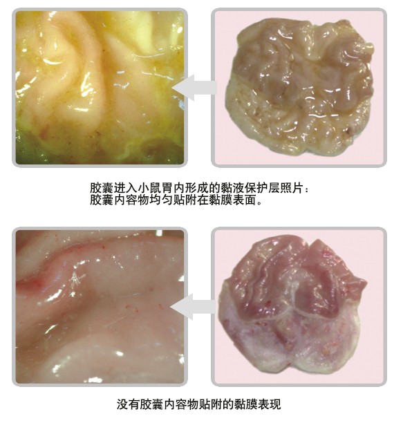 mg冰球突破豪华版(试玩)官方网站