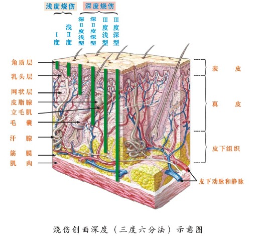 mg冰球突破豪华版(试玩)官方网站
