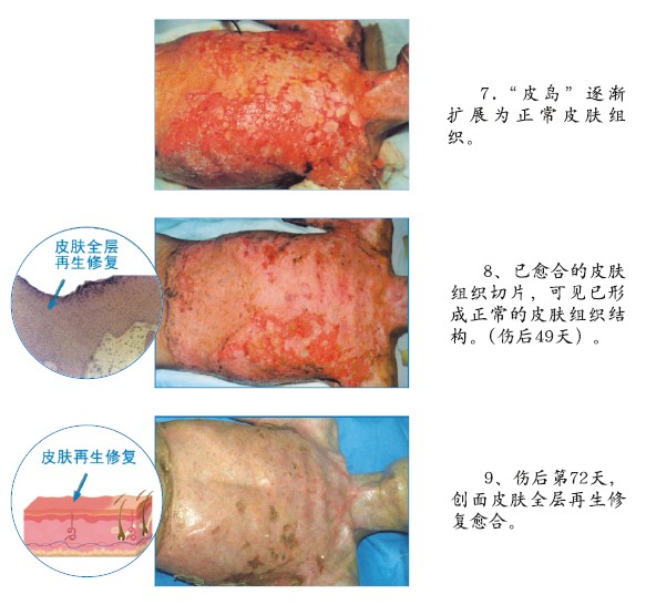 mg冰球突破豪华版(试玩)官方网站