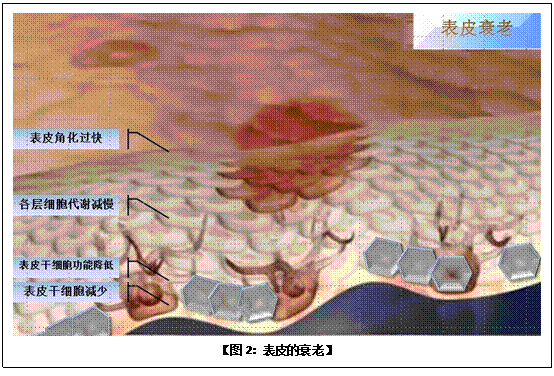 mg冰球突破豪华版(试玩)官方网站
