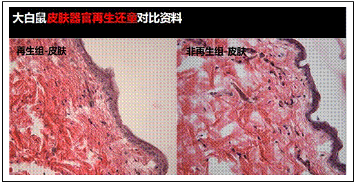 mg冰球突破豪华版(试玩)官方网站