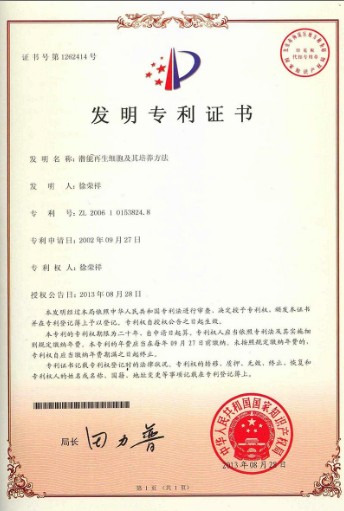 mg冰球突破豪华版(试玩)官方网站