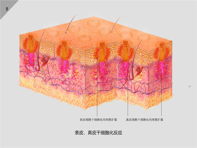 mg冰球突破豪华版(试玩)官方网站