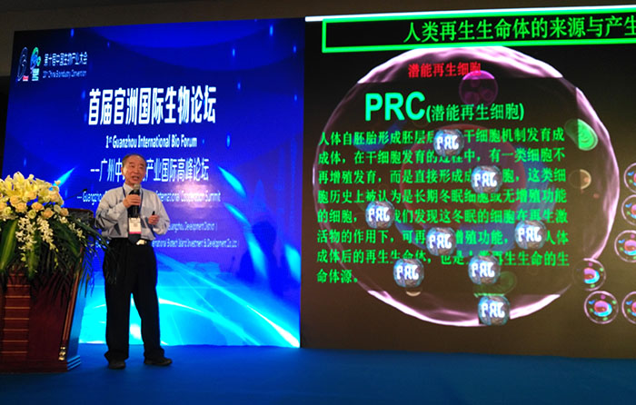 mg冰球突破豪华版(试玩)官方网站