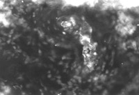 2011218155726827
