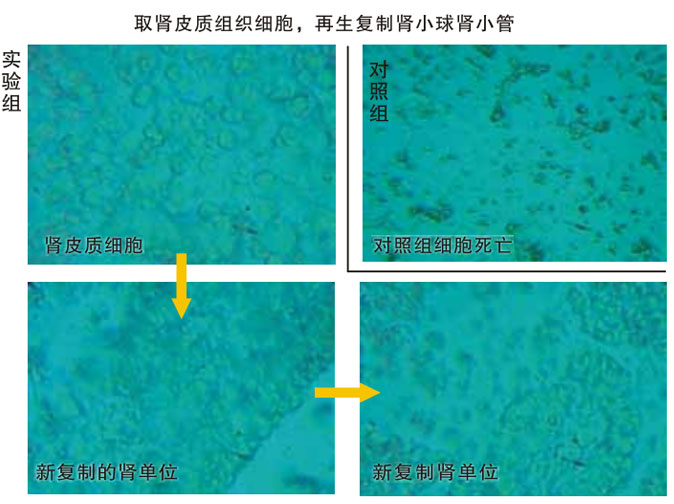 201122011835174