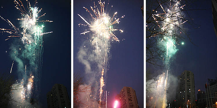 201212892829581