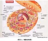 mg冰球突破豪华版(试玩)官方网站